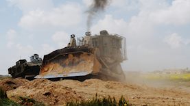 צילום: shutterstock